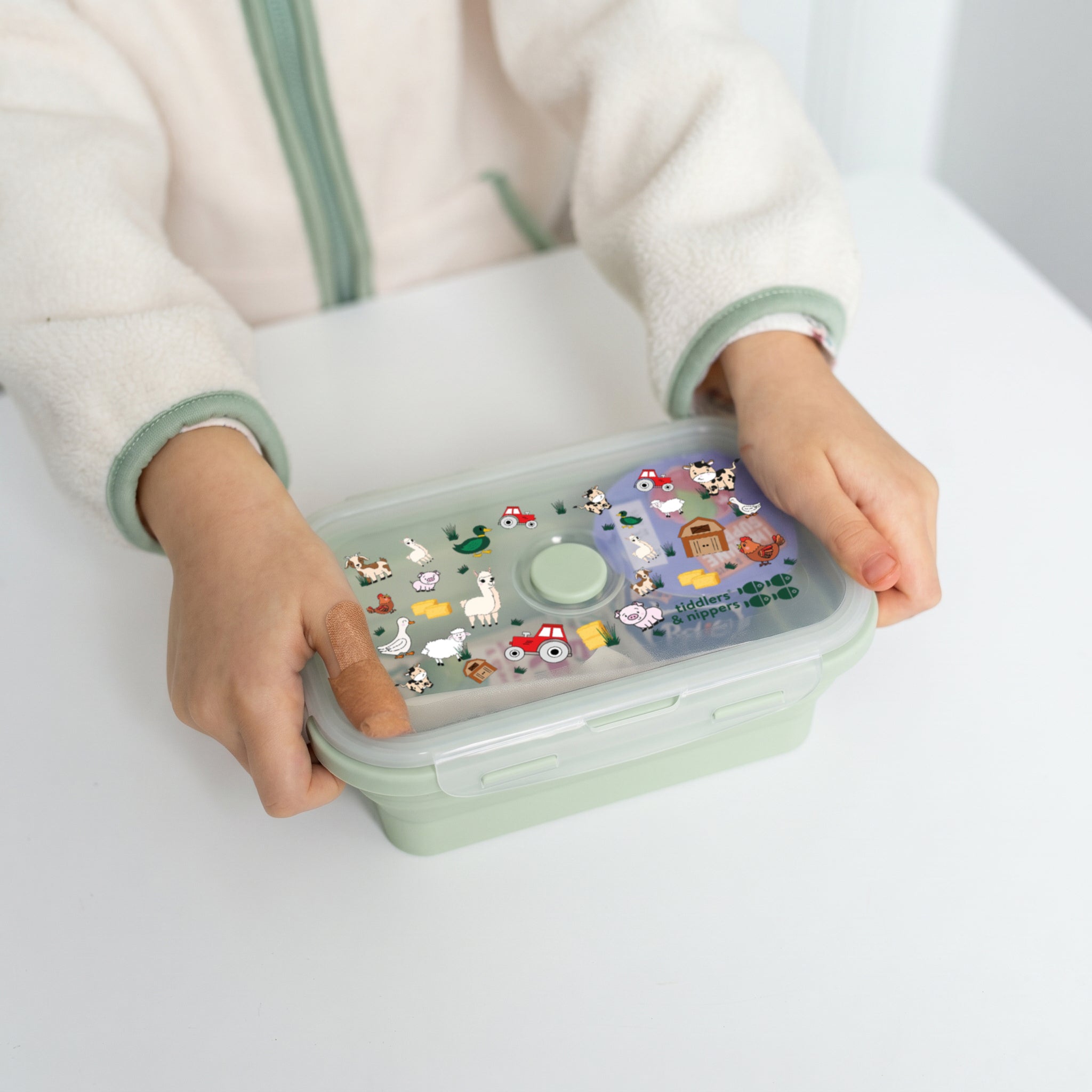 Silicone Collapsible Snack Box Leak-Proof Microwave, Freezer Safe